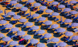 Ursa Nova - Risk - AP News: Last Sunday was the hottest day on Earth in all recorded history, European climate agency reports