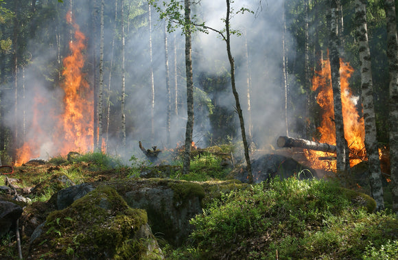 Risk - The Washington Post - Floods, fires and deadly heat are the alarm bells of a planet on the brink